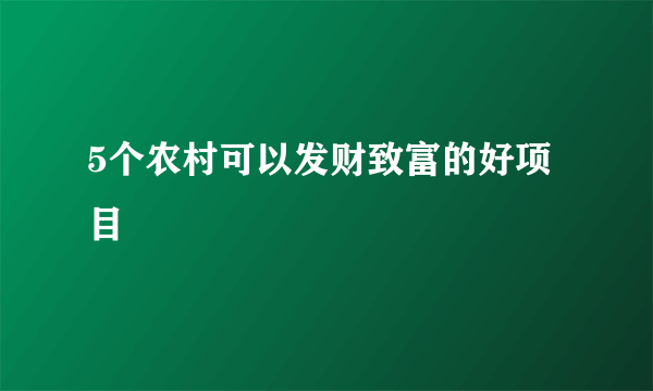 5个农村可以发财致富的好项目