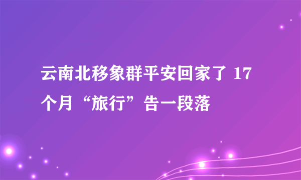 云南北移象群平安回家了 17 个月“旅行”告一段落