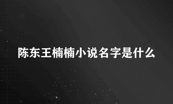 陈东王楠楠小说名字是什么