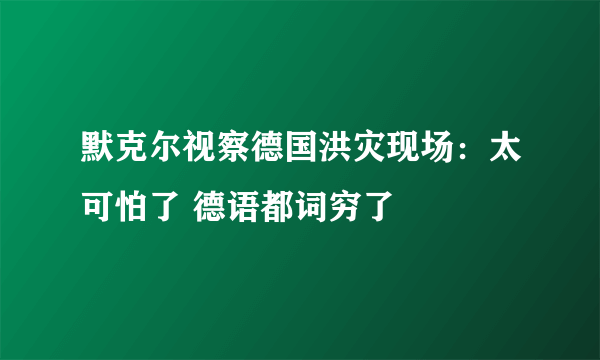 默克尔视察德国洪灾现场：太可怕了 德语都词穷了