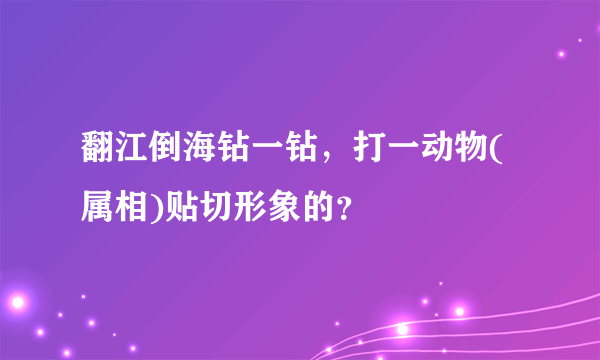 翻江倒海钻一钻，打一动物(属相)贴切形象的？