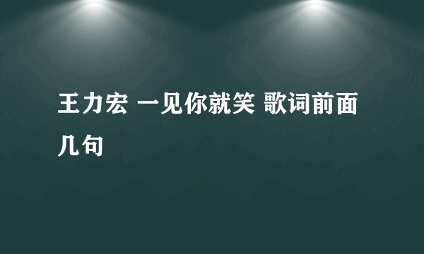 王力宏 一见你就笑 歌词前面几句