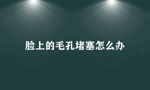 脸上的毛孔堵塞怎么办