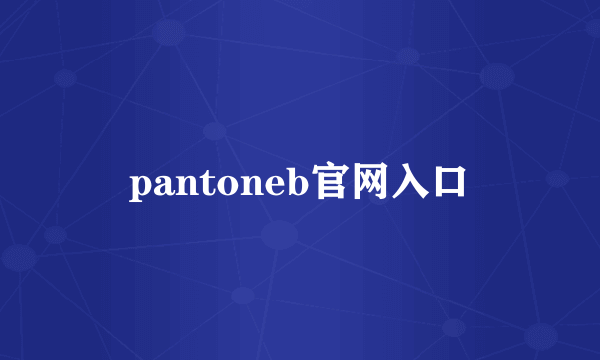 pantoneb官网入口