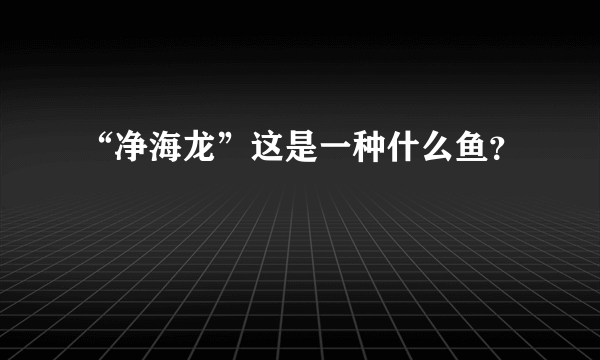 “净海龙”这是一种什么鱼？