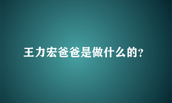 王力宏爸爸是做什么的？