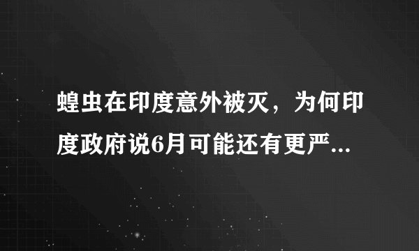 蝗虫在印度意外被灭，为何印度政府说6月可能还有更严重的蝗灾？