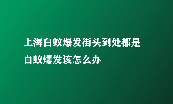 上海白蚁爆发街头到处都是 白蚁爆发该怎么办