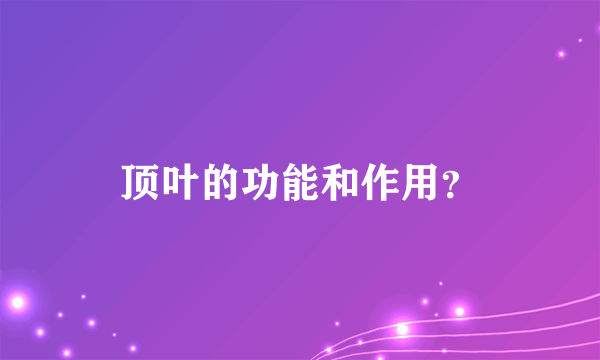 顶叶的功能和作用？