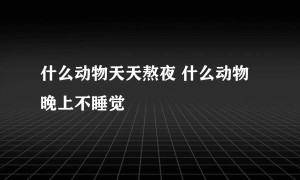 什么动物天天熬夜 什么动物晚上不睡觉