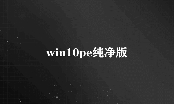 win10pe纯净版