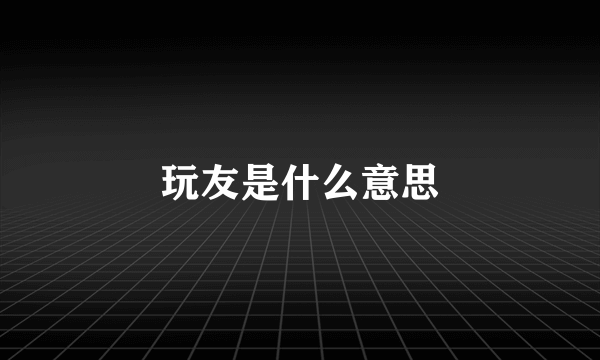 玩友是什么意思