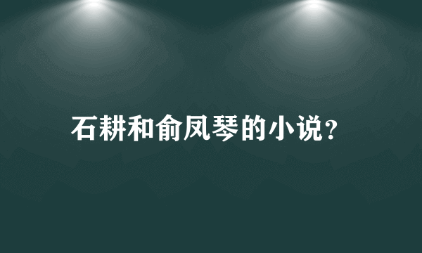 石耕和俞凤琴的小说？