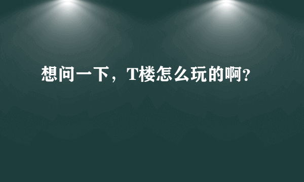 想问一下，T楼怎么玩的啊？