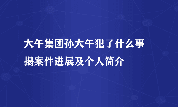 大午集团孙大午犯了什么事 揭案件进展及个人简介