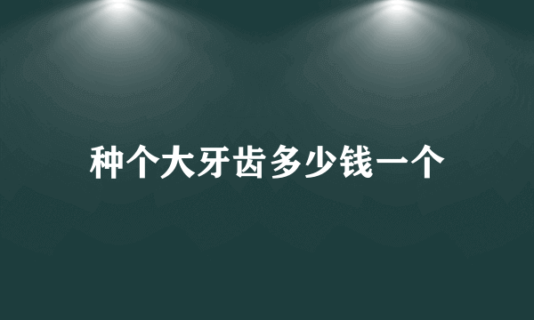 种个大牙齿多少钱一个