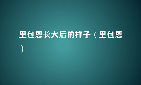 里包恩长大后的样子（里包恩）