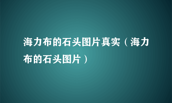 海力布的石头图片真实（海力布的石头图片）