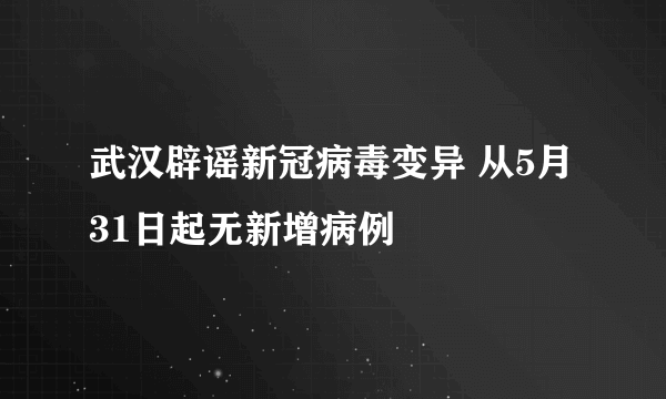 武汉辟谣新冠病毒变异 从5月31日起无新增病例