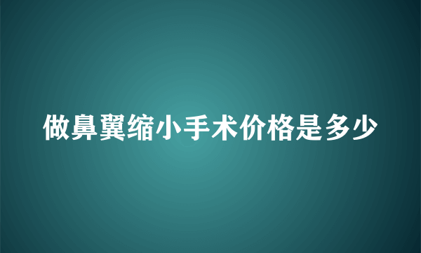 做鼻翼缩小手术价格是多少