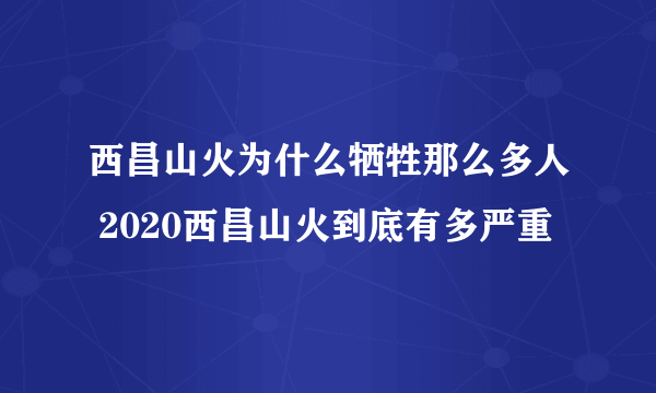 西昌山火为什么牺牲那么多人 2020西昌山火到底有多严重