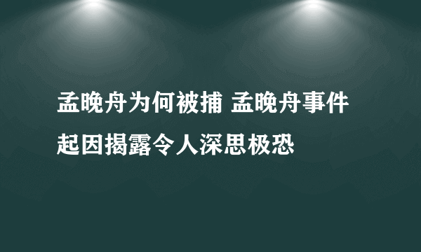 孟晚舟为何被捕 孟晚舟事件起因揭露令人深思极恐