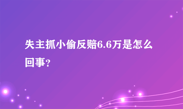 失主抓小偷反赔6.6万是怎么回事？