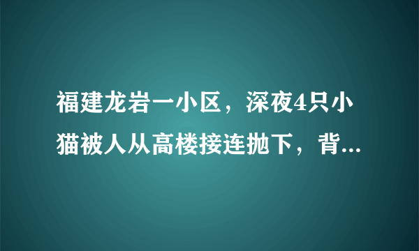 福建龙岩一小区，深夜4只小猫被人从高楼接连抛下，背后之人究竟有多残忍？