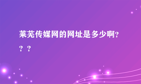 莱芜传媒网的网址是多少啊？？？