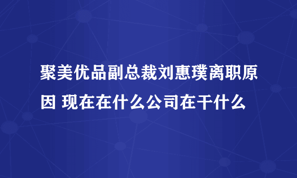 聚美优品副总裁刘惠璞离职原因 现在在什么公司在干什么