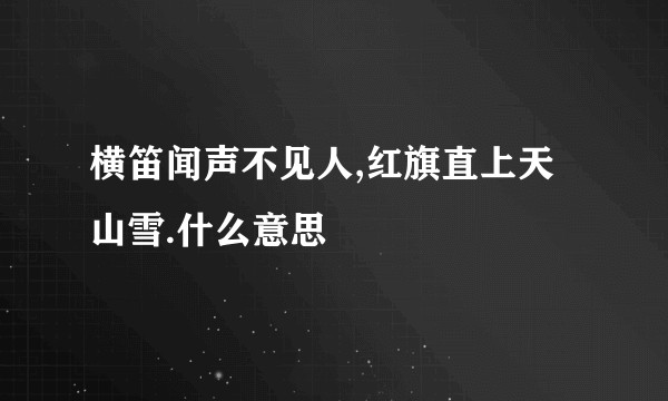 横笛闻声不见人,红旗直上天山雪.什么意思