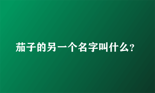 茄子的另一个名字叫什么？