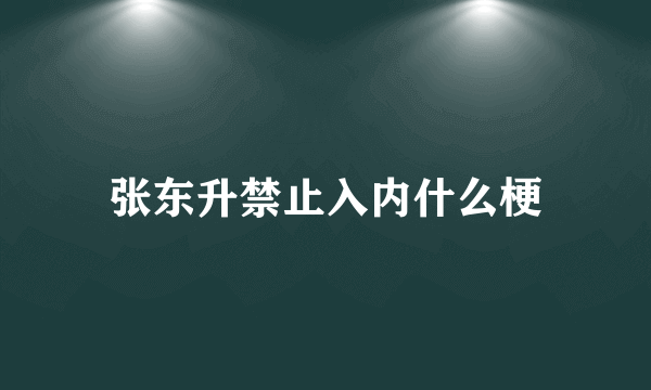 张东升禁止入内什么梗