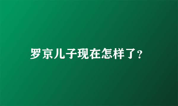 罗京儿子现在怎样了？