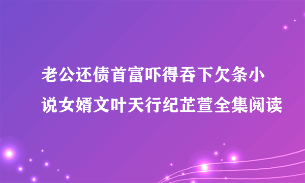 老公还债首富吓得吞下欠条小说女婿文叶天行纪芷萱全集阅读