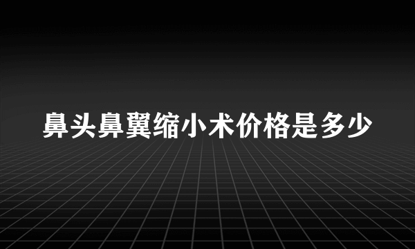 鼻头鼻翼缩小术价格是多少