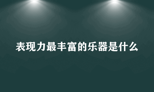 表现力最丰富的乐器是什么