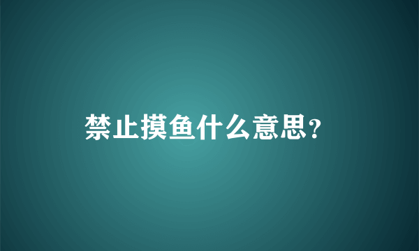 禁止摸鱼什么意思？