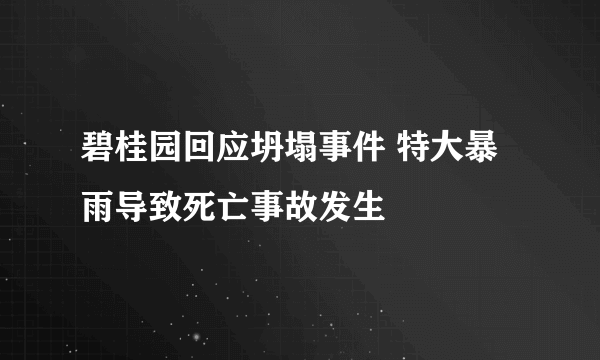 碧桂园回应坍塌事件 特大暴雨导致死亡事故发生