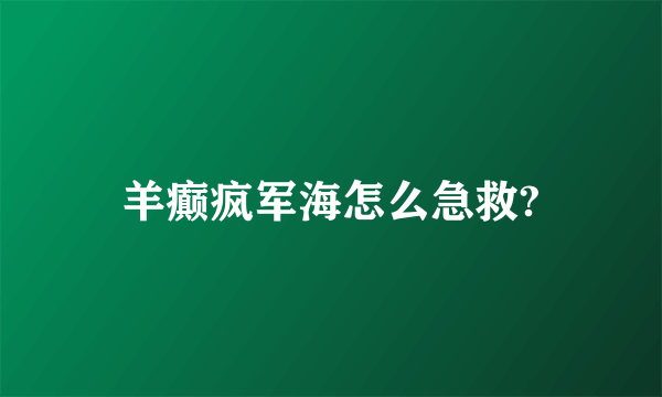 羊癫疯军海怎么急救?