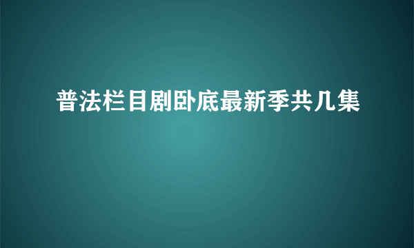 普法栏目剧卧底最新季共几集