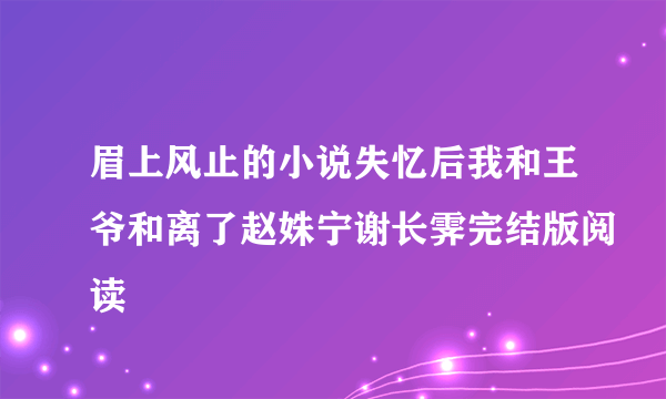 眉上风止的小说失忆后我和王爷和离了赵姝宁谢长霁完结版阅读