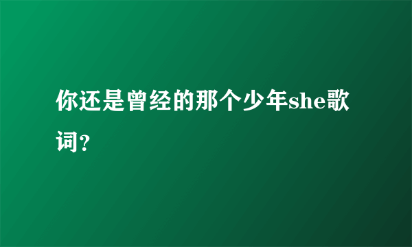 你还是曾经的那个少年she歌词？