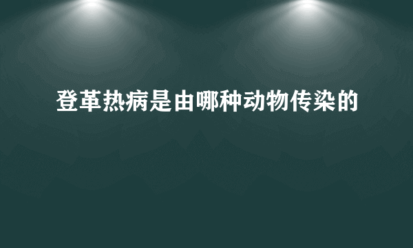 登革热病是由哪种动物传染的