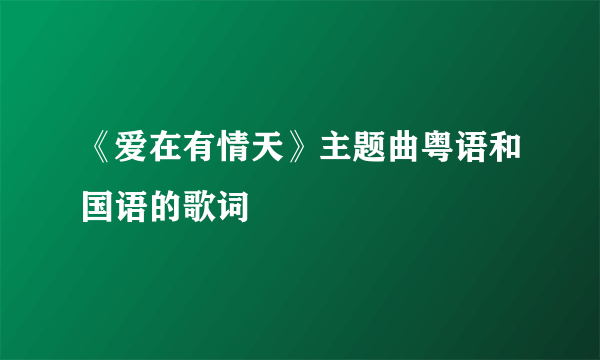 《爱在有情天》主题曲粤语和国语的歌词