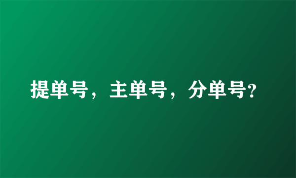 提单号，主单号，分单号？