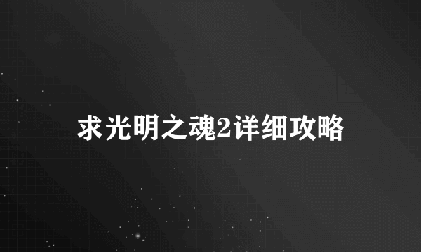 求光明之魂2详细攻略