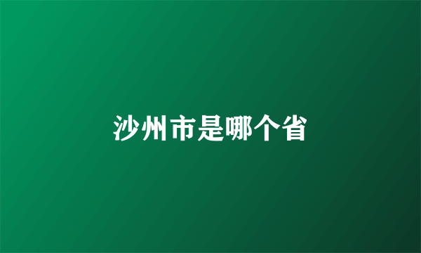 沙州市是哪个省