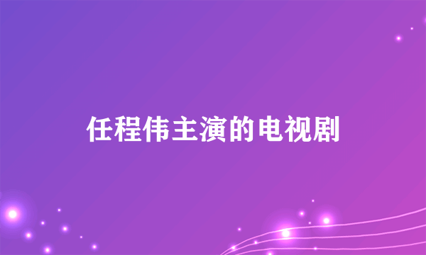 任程伟主演的电视剧