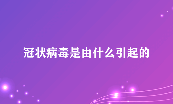 冠状病毒是由什么引起的